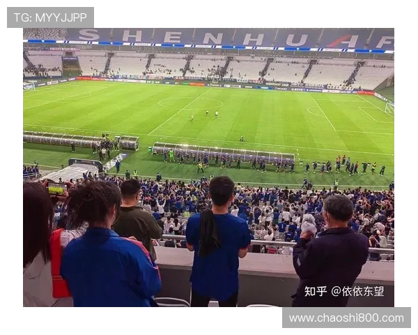 大连市一方足球俱乐部2023年中超联赛表现解析