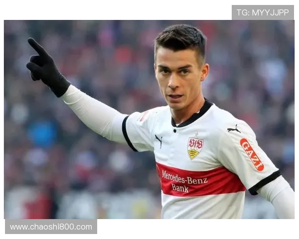 德甲各球队历史奖金与分红记录汇总